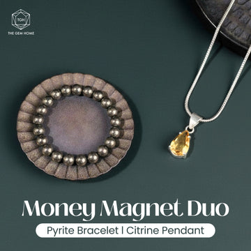 Money magnet combo